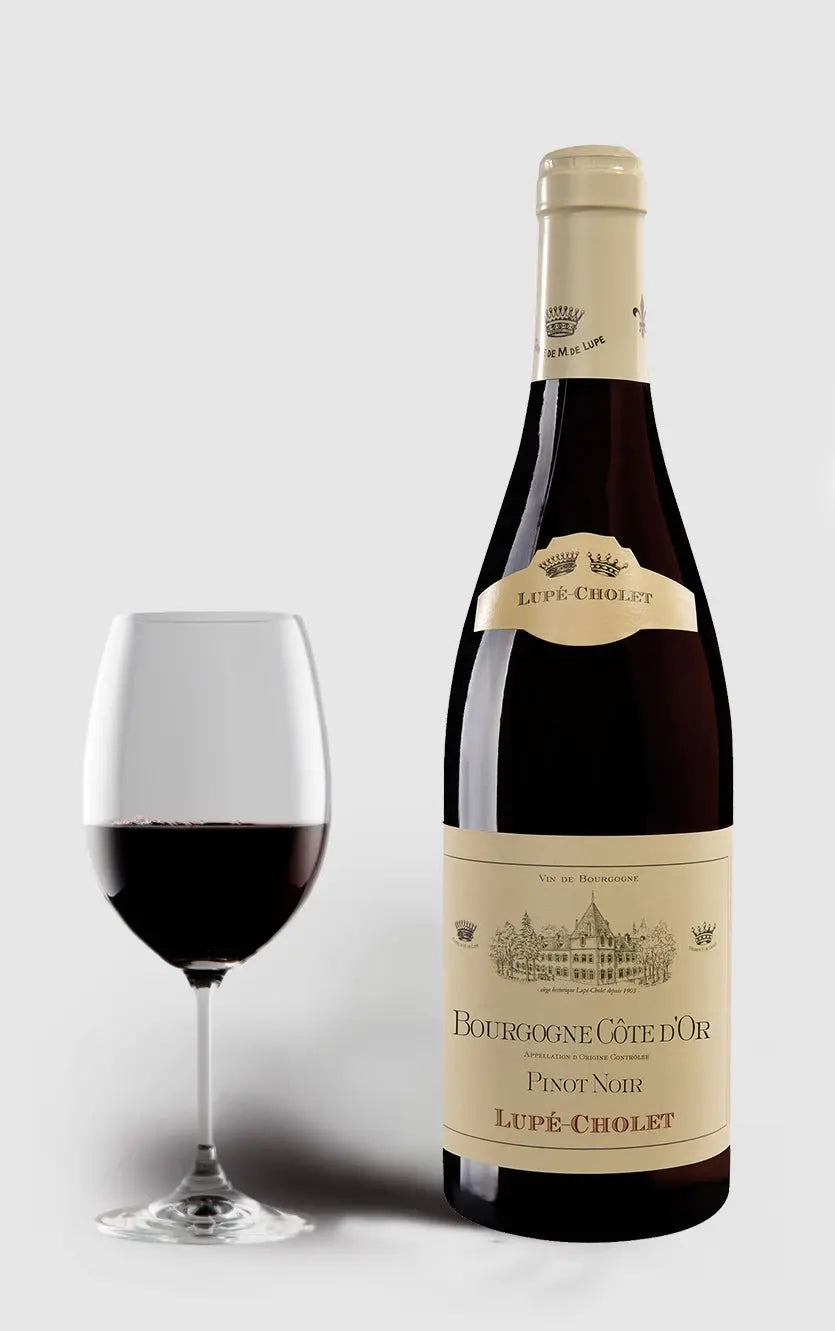 Lupe-cholet 2020 Pinot Noir Cote     Bourgogne