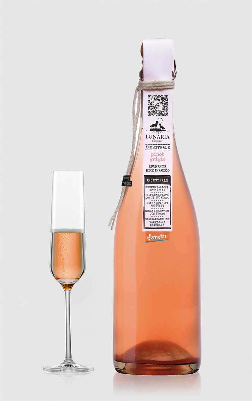Pet Nat Brut Nature Lunaria Pinot Grigio Ancestrale Spumante Cantine Orsogna Abruzzo øko 2025